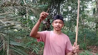 PETUALANGAN PART 2 MENCARI JENGKOL BLUSUKAN DI HUTAN GES – nemu barang jaman kerajaaan🤣🤣🤣