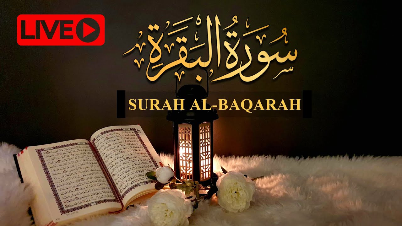 Surah Al Baqarah Full Surah Al Baqarah Complete Live Stream Youtube