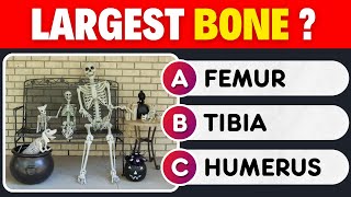 Ultimate Science Quiz | How good is your General Knowledge?