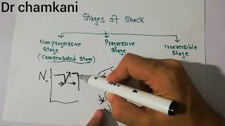 CVS 239 || Stages of circulatory shock | Non progressive, progressive \u0026 irreversible shock