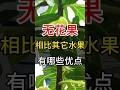 无花果的优点有那一些？#种植 #gardening #无花果