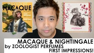 Macaque \u0026 Nightingale by Zoologist Perfumes First Impressions!