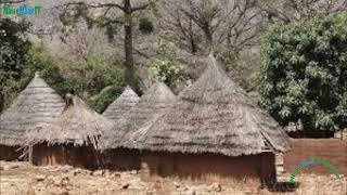 Feu Diatta Senghor Titre: Aliou Diallo