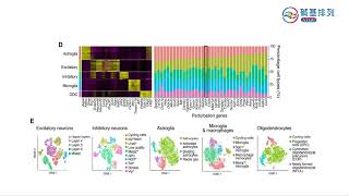 单细胞测序-应用篇-基因编辑研究（Single cell sequencing - application - genome editing research）