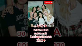 วง VCHA ยกเลิกการแสดงเทศกาลดนตรี Lollapalooza #2024  #VCHA #lollapalooza