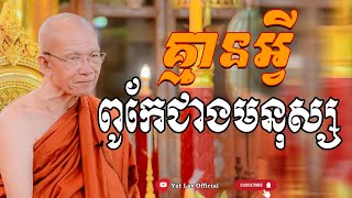 គ្មានអ្វីពូកែជាងមនុស្សទេ / សម្ដេច ព្រះព្រហ្មរតនមុនី ពិន សែម [Yat Lav Official]