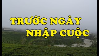 Hồi Ký Miền Nam | Trước Ngày Nhập Cuộc