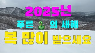 2025년 푸른뱀의해 새해복 많이 받으세요