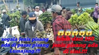 lebih dari 100 jenis pisang ada di pasar pisang Lumajang.