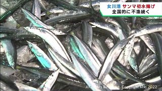 全国的に不漁が続く中でサンマ初水揚げ　宮城・女川港