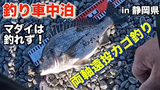 釣り車中泊、マダイは釣れず！【三保海岸】両軸遠投カゴ釣り