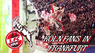 FC KÖLN FANS IN FRANKFURT