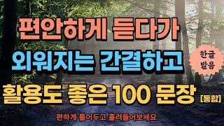 [통합본] 초보영어 생각 없이 틀어 놓고 듣다 보니 그냥 외워져 버린  아주 간결하면서 유용하게 쓰이는 기초 영어 회화 100문장 모음 영어잘하는 김종국  만큼 ai영어로 괌 가요