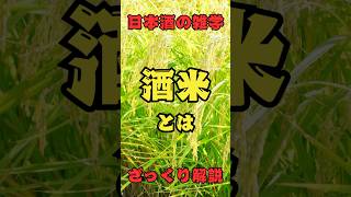 酒米ってなに？についてざっくり解説ためになった方は「いいね」「コメント」お願いします^ ^#日本酒🍶 #日本酒  #日本酒雑学  #日本酒好きな人と繋がりたい  #酒米 #酒造好適米