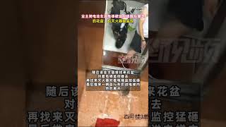 业主骑电动车进电梯被监控提醒后暴走：扔花盆、扔灭火器砸监控