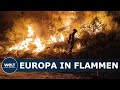 EUROPA IN FLAMMEN: Die dramatischen Folgen des Klimawandels immer spürbarer