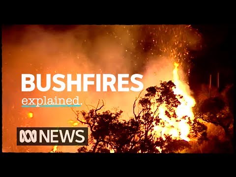 What is the most common way a bushfire starts?