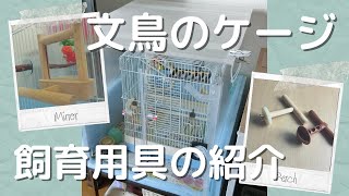 【文鳥のケージ紹介】餌入れ、おもちゃなどの飼育用具を紹介 Java sparrow