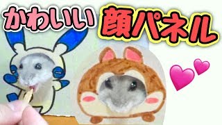 【ハムスター】めっちゃかわいい💕とっても簡単🌟顔出しパネルの作り方😆✨お家にもなるよ‼️おもしろ かわいい💕