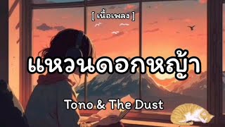 แหวนดอกหญ้า - Tono \u0026 The Dust 🎶🎧