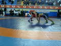 Saba Chikhradze vs Giorgi Chkhartishvili  Stepan Sargsyan Cup Armenya 2017