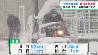 最強寒波　宮城県各地で積雪　交通機関に影響