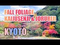 Fall foliage in Southern tip of Kyoto Prefecture, Kaijusenji & Joruriji temple (Kizugawa City)