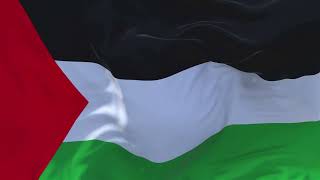 #Palestine #Flag #Waving in Wind Continuous Seamless Loop Background.