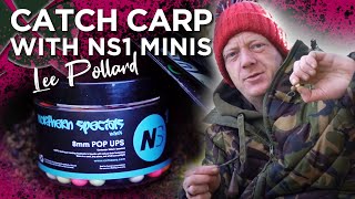 Why Northern Special NS1 Minis Are The PERFECT Winter Hookbait 🔥