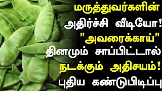 அவரைக்காய் அதிரவைக்கும் மருத்துவ நன்மைகள்! | Avaraikkai Benefits in Tamil| Beans Health Tips Tamil