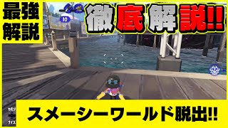 【バグ解説】スメーシーワールドで有名度No.1！神バグを2分で解説！【スプラトゥーン２】