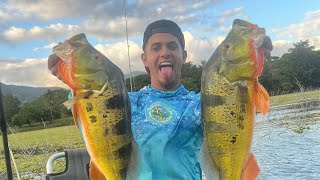 Primera Pesca Del 2025🔥/Tucunares súper agresivos/No Dejan caer el señuelo/Pesca en Puerto Rico 🇵🇷