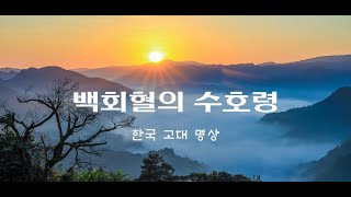 백회혈의 수호령