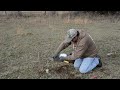 coyote trapping how to bed a trap solid