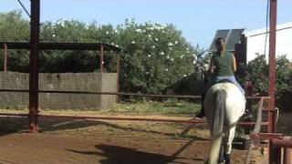 The Honeymoon Testers visit Epona Equestrian Centre