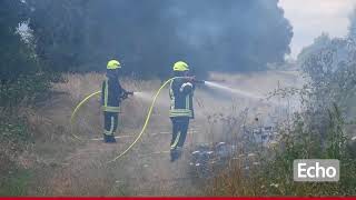 Mehrere Brände entlang der Bahnstrecke bei Babenhausen