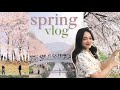 day in the life: spring day, DAY6 concert 🌸🍀 seoul VLOG