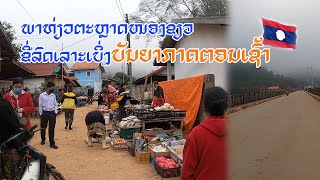 ขับรถชมบรรยากาศยามเช้าที่หนองเขียวเมืองงอย|ພາຂັບລົດຊົມບັນຍາກາດຍາມເຊົ້າທີ່ໜອງຂຽວເມືອງງອຍ|ToiyYoiy