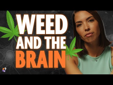 What do cannabinoids do in the brain?