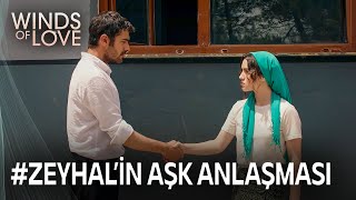 Halil, Zeynep'in hislerini öğrendi mi? | Rüzgarlı Tepe 113. Bölüm