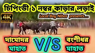 💥চিপিংডী ১ নম্বর কাড়ার লড়াই ❤২০২২ || দামোদর মাহাত V/S  বংশীধর মাহাত @Localboynibas