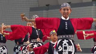 大橋通り踊り子隊＠2013　原宿スーパーよさこい