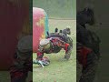 It's like watching a lion stalk it's prey 🦁 #paintball #snake #cpps #supair #lion #slowmotion