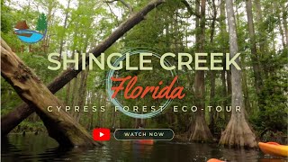 Florida's Hidden Gem! Kayaking Through Shingle Creek's Cypress Forest.