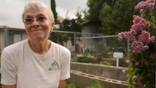 Feeding communities -- the Incredible Edible Community Garden