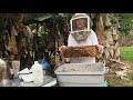 easy varroa mite test using rubbing alcohol step by step guide