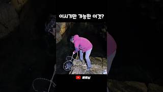 딱 요즘시기만 동해에서 잡는다는 이것? #shorts