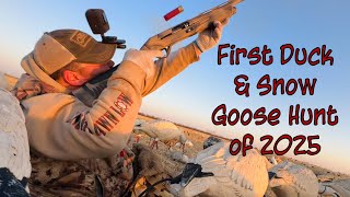First Duck & Snow Goose Hunt of 2025
