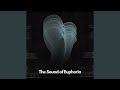 The Sound of Euphoria