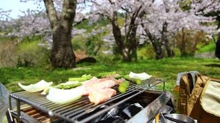 相方と2人　ユニセラ使ってお花見バーベキュー